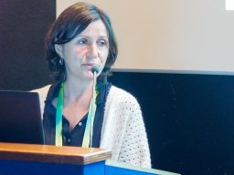 idsworkshop-venice-cmanfredi